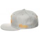 Casquette grise team BeastX (BXASB02)
